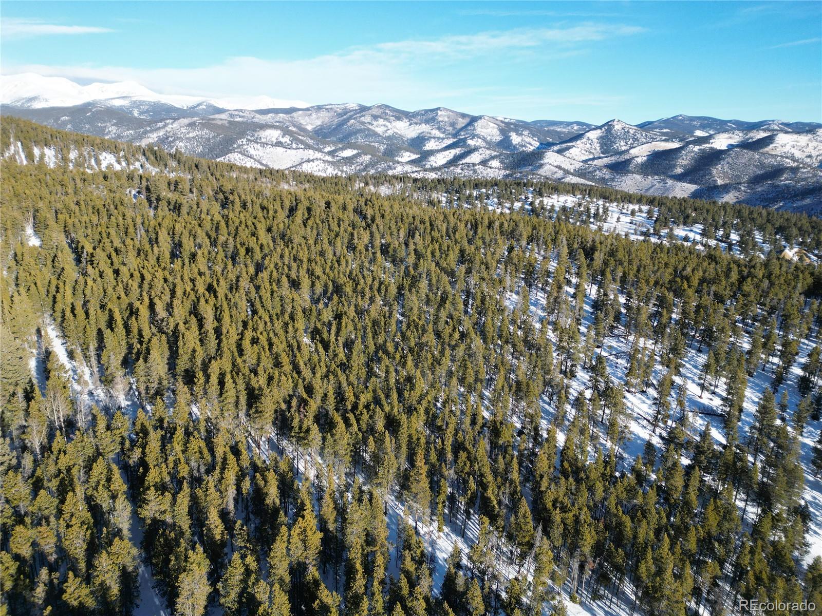 6731 Turkey Gulch Road Idaho Springs, CO 80452 - Photo 16 of 25 Gallery Image 16