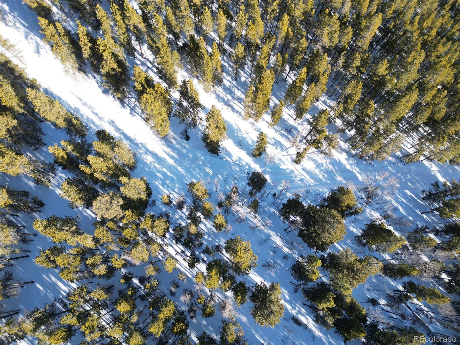 6731 Turkey Gulch Road Idaho Springs, CO 80452 - Photo 17 of 25 Gallery Image 17