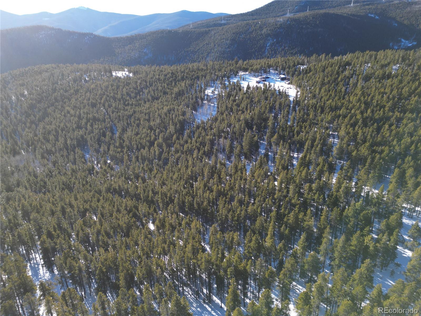 6731 Turkey Gulch Road Idaho Springs, CO 80452 - Photo 18 of 25 Gallery Image 18
