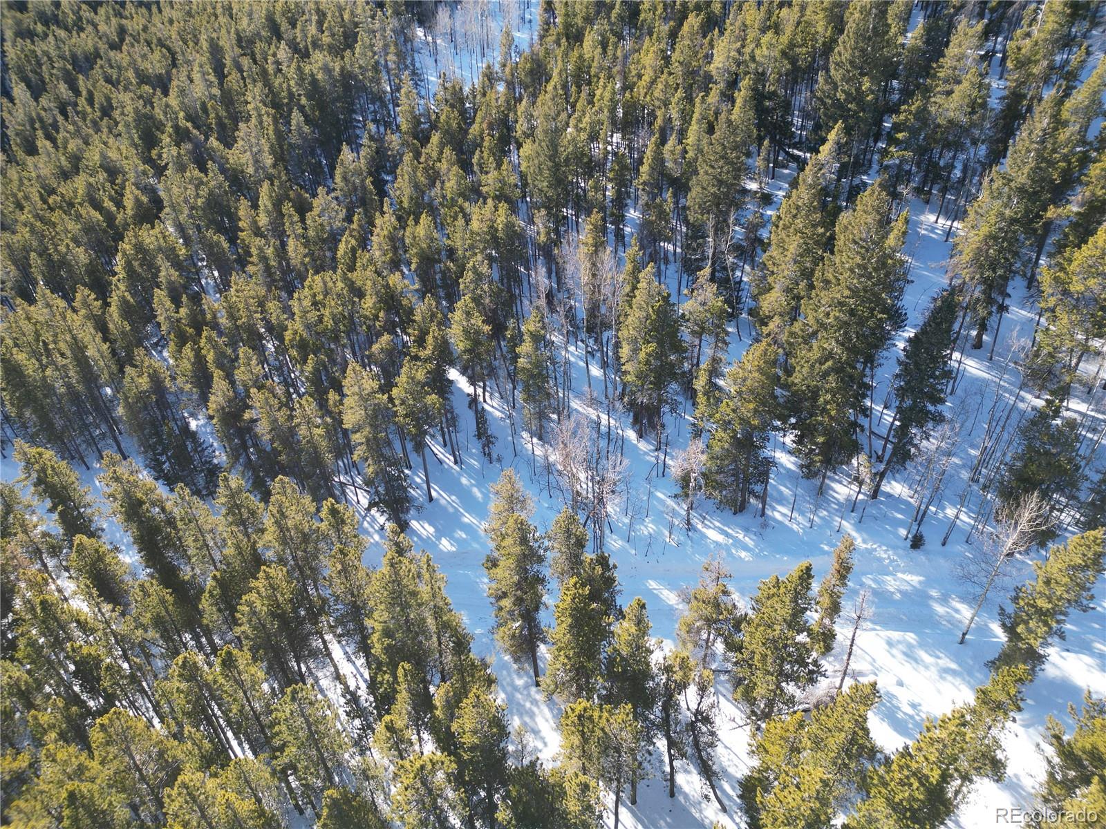 6731 Turkey Gulch Road Idaho Springs, CO 80452 - Photo 20 of 25 Gallery Image 20
