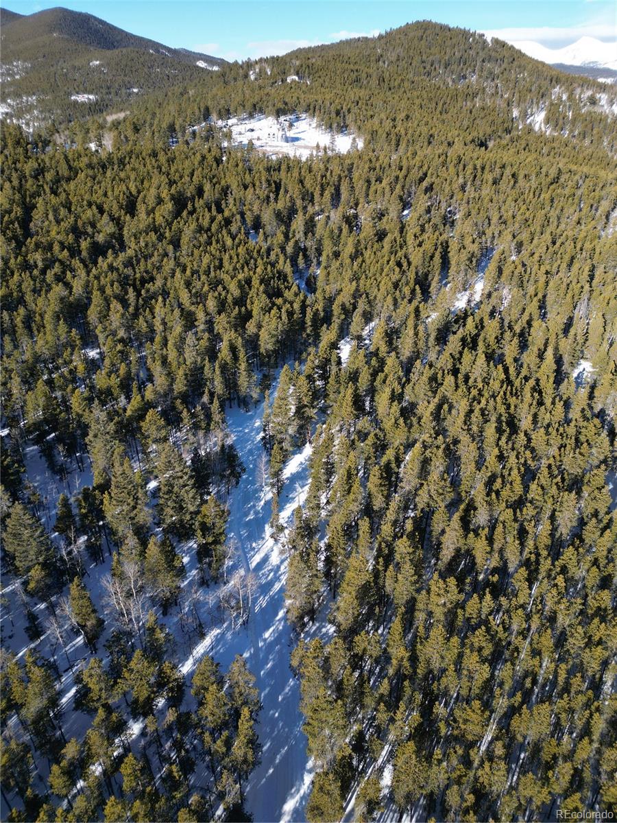 6731 Turkey Gulch Road Idaho Springs, CO 80452 - Photo 21 of 25 Gallery Image 21