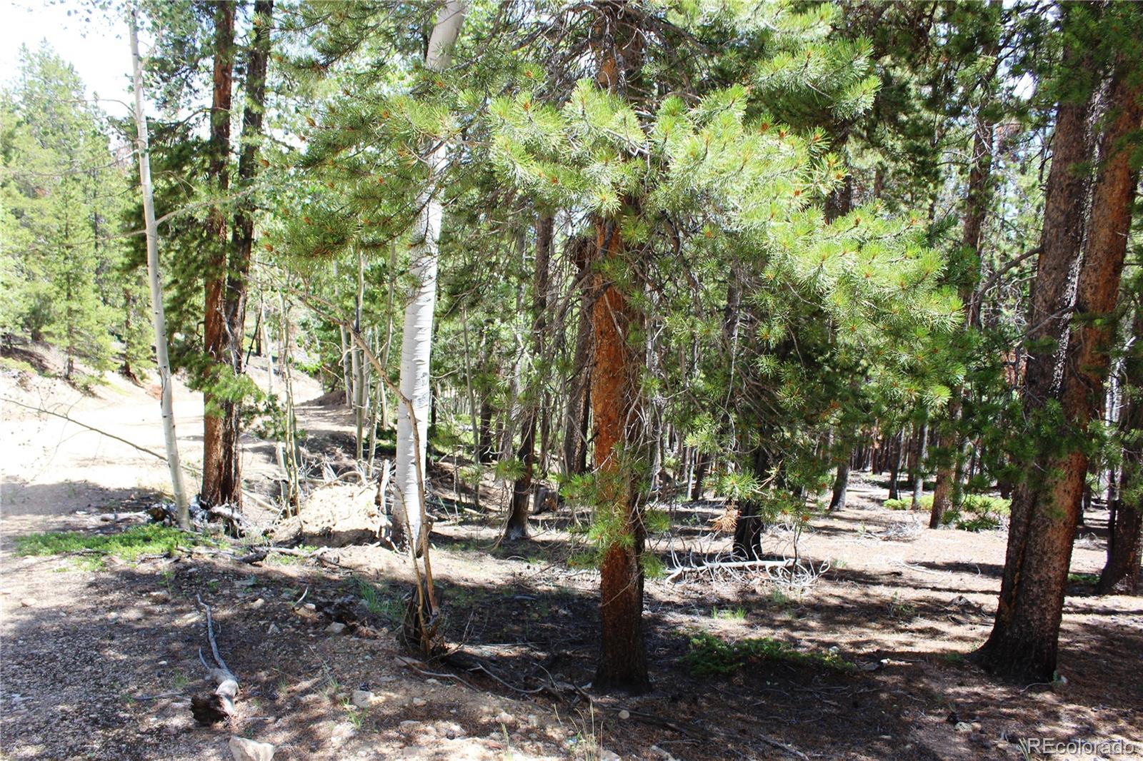 6731 Turkey Gulch Road Idaho Springs, CO 80452 - Photo 3 of 25 Gallery Image 3
