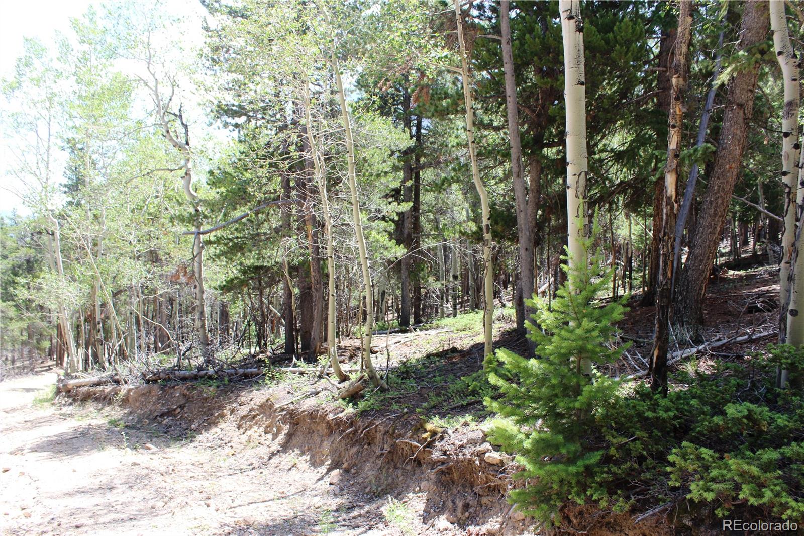 6731 Turkey Gulch Road Idaho Springs, CO 80452 - Photo 5 of 25 Gallery Image 5