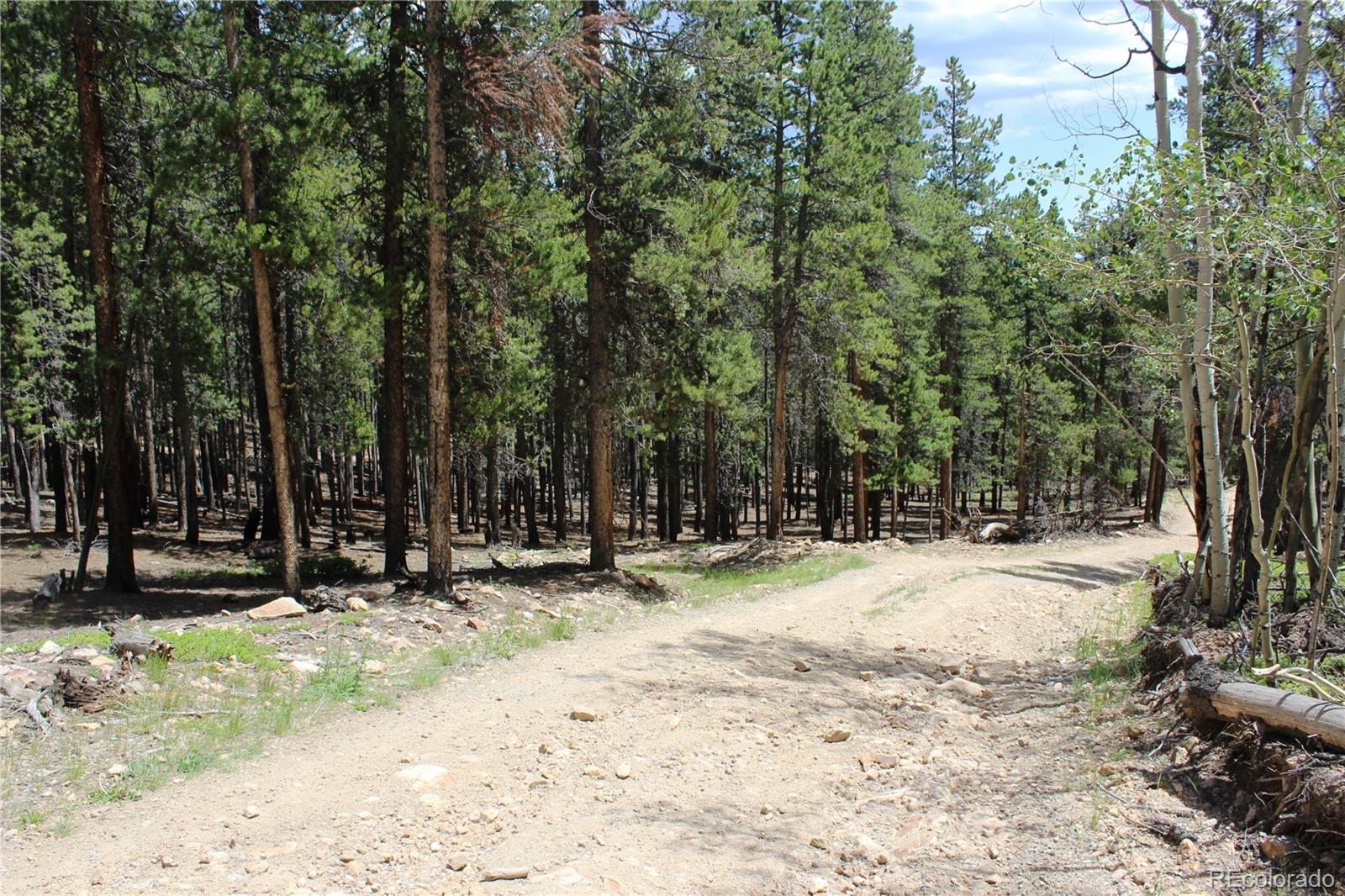 6731 Turkey Gulch Road Idaho Springs, CO 80452 - Photo 8 of 25 Gallery Image 8