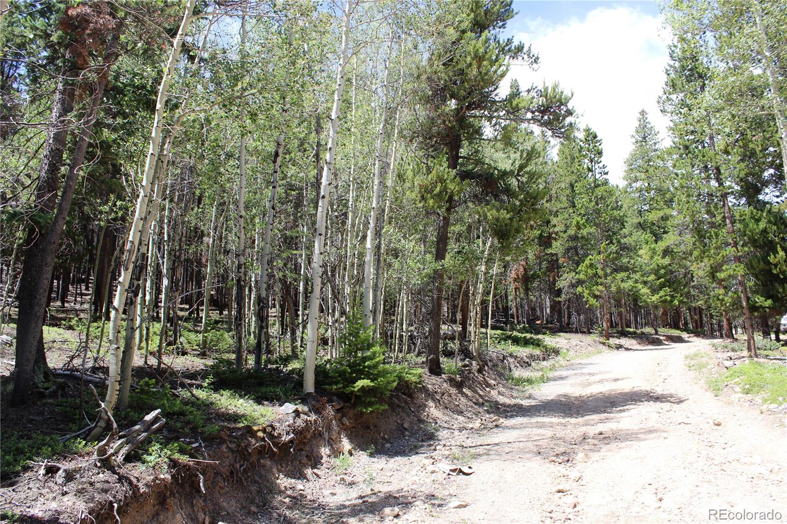 6731 Turkey Gulch Road Idaho Springs, CO 80452 - Photo 10 of 25 Gallery Image 10