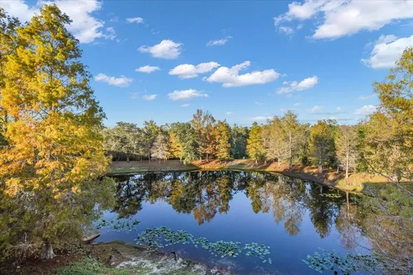 a view of a lake in middle of a forest