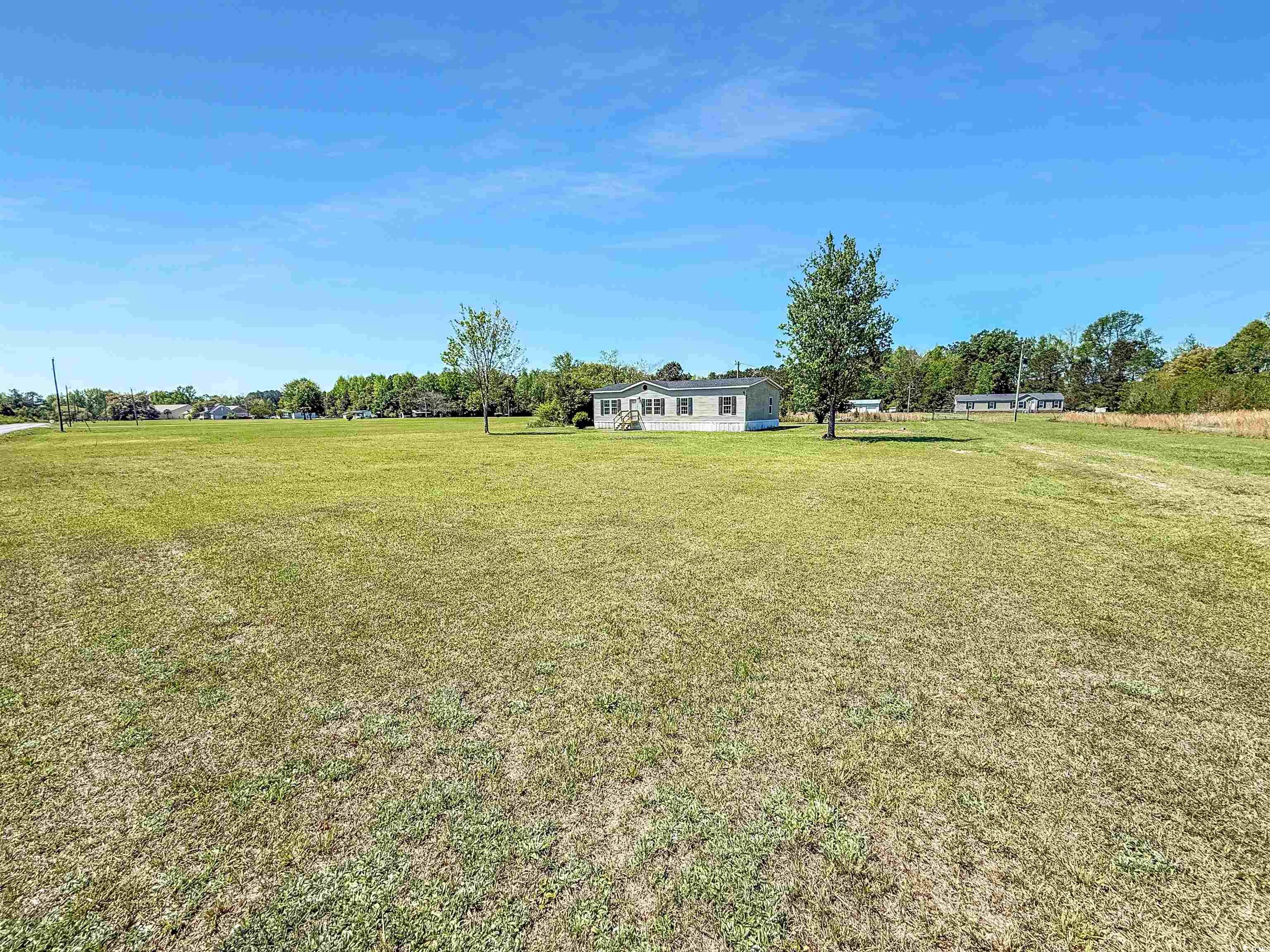 111 Morrisville Road Andrews, SC 29510 - Photo 8 of 28 View of yard