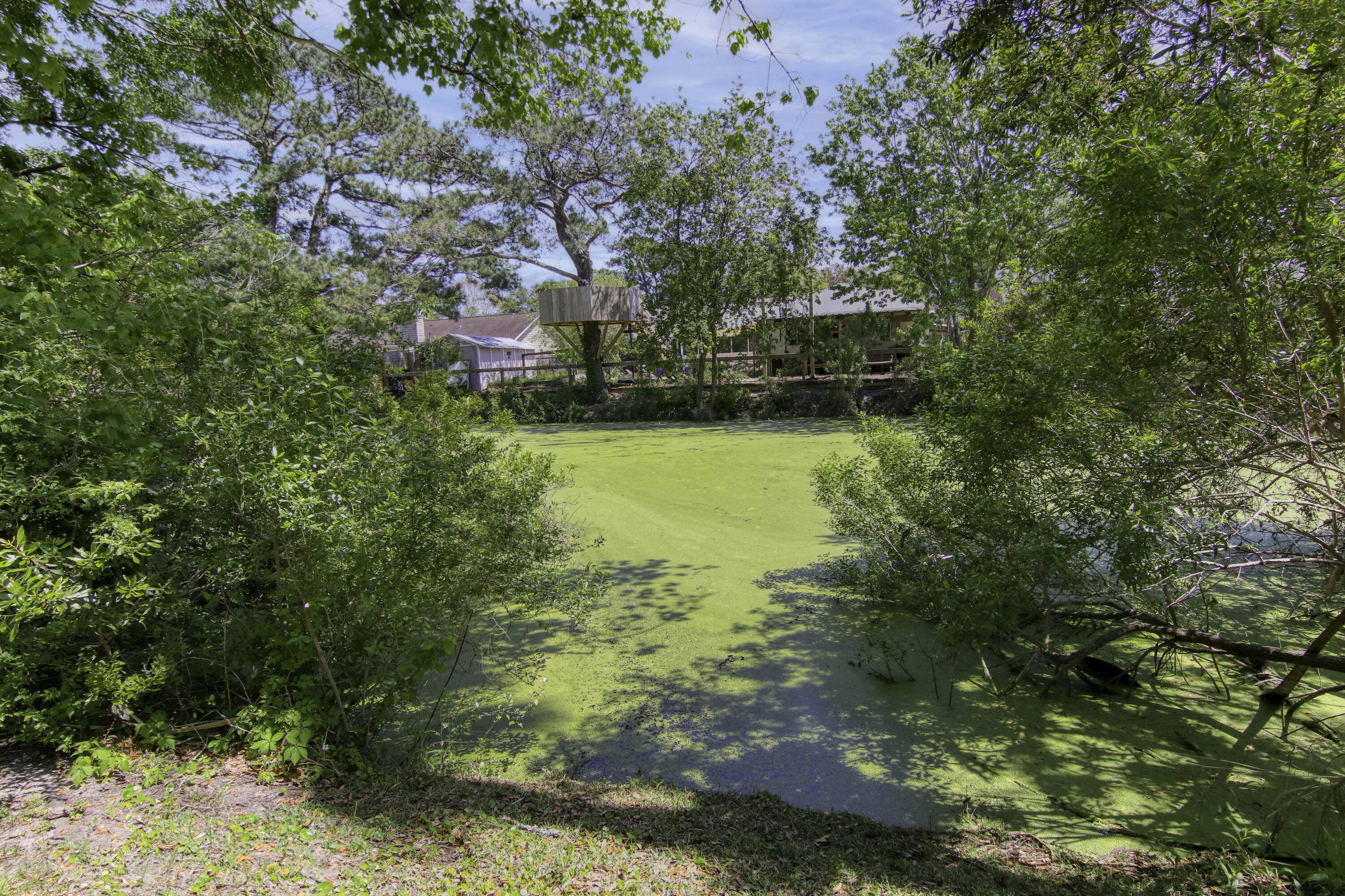 1140 Shoreham Road Charleston, SC 29412 - Photo 42 of 46 1140 Shoreham Rd