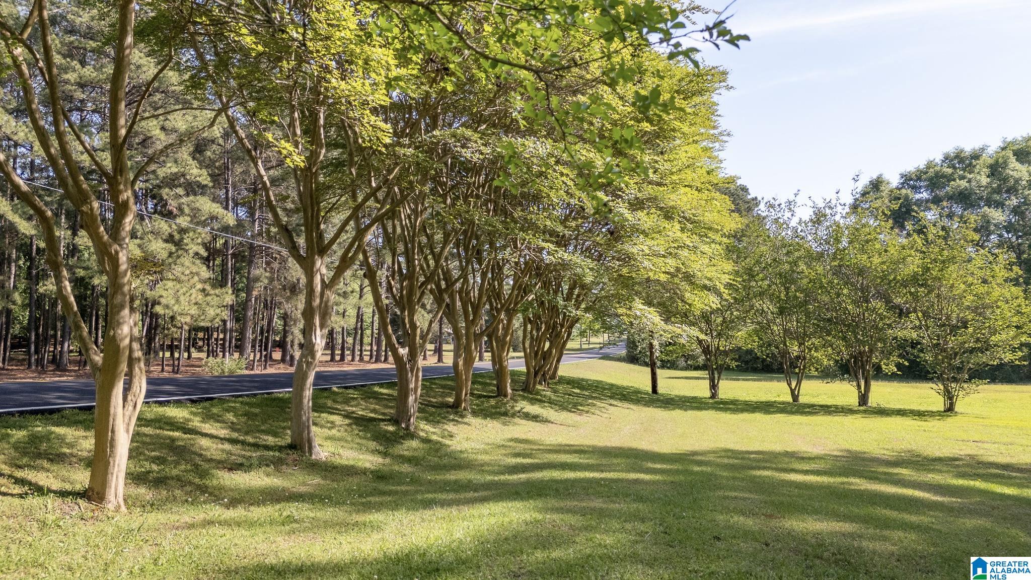 5306 Lee Road Pell City, AL 35128 - Photo 51 of 52