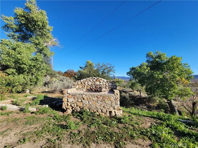 a view of a dry yard with trees