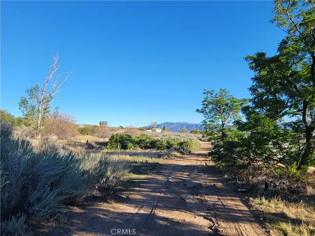 a view of a dry yard with wooden fence