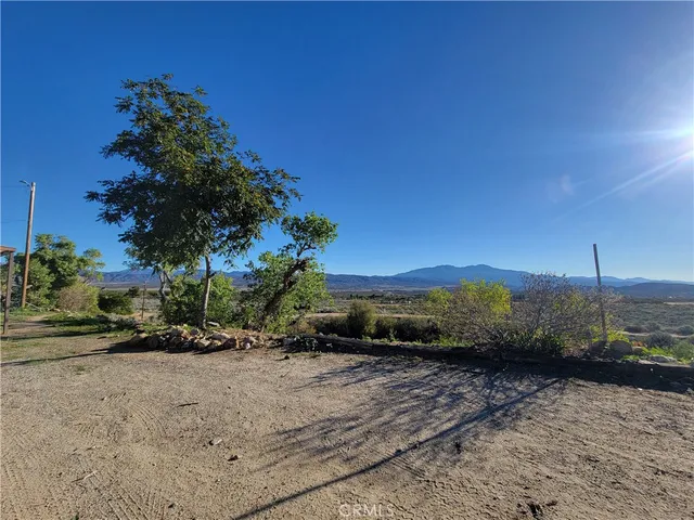 a view of a house with a yard and plants