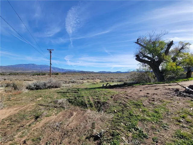 a view of a large body of water with a large tree