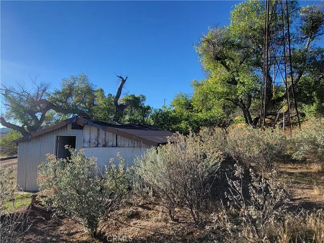 a view of a tree in a field