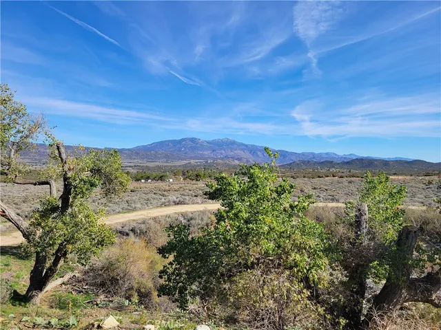 a view of a dry grass field