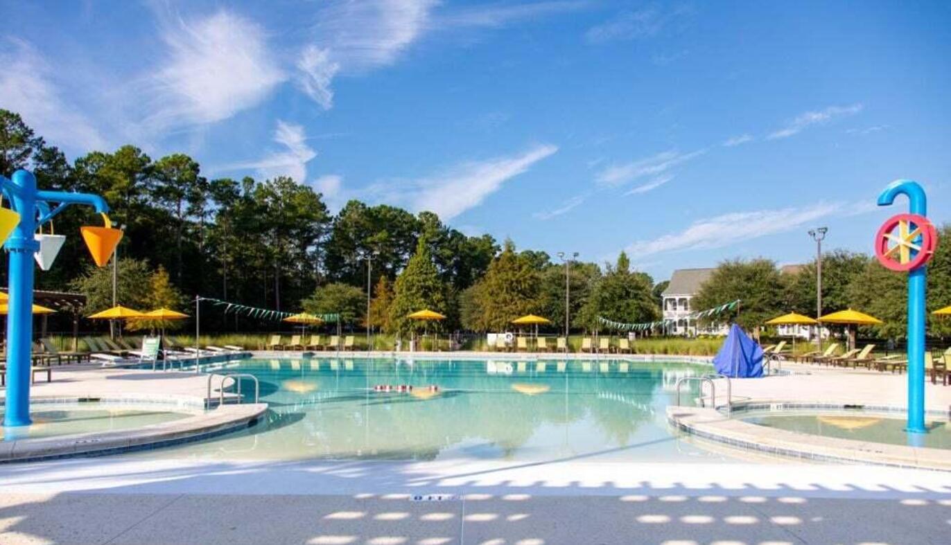 223 Denham Street Summerville, SC 29486 - Photo 16 of 16 Carnes Pool