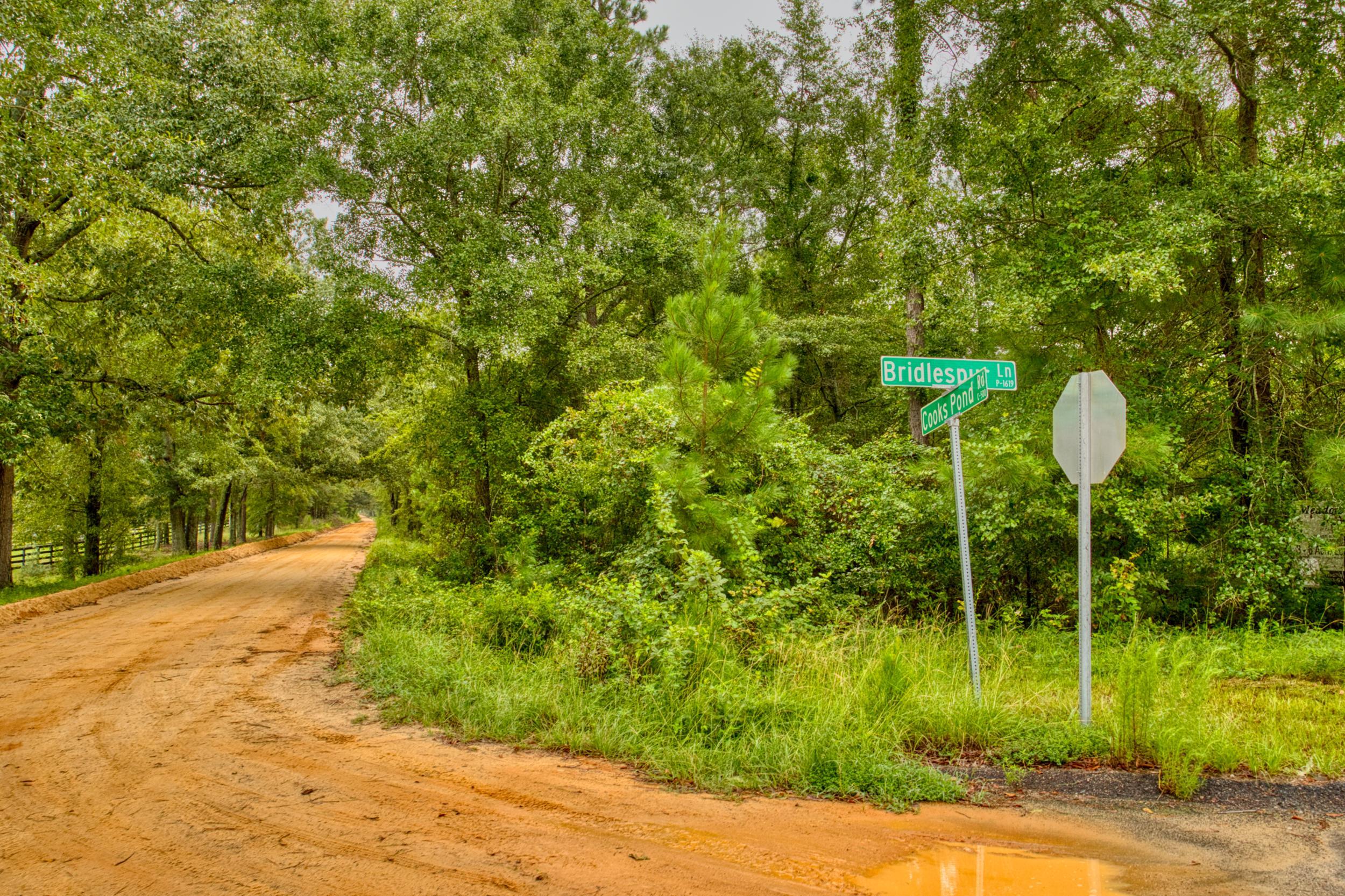 Lot 5 Cooks Pond Road Windsor, SC 29856 - Photo 18 of 23