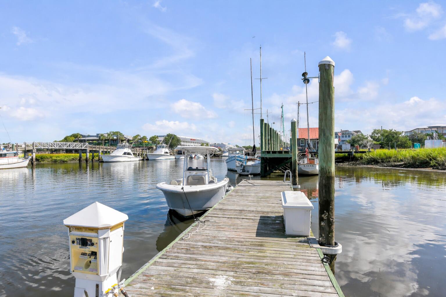 228 Haddrell Street Mount Pleasant, SC 29464 - Photo 3 of 37 dock