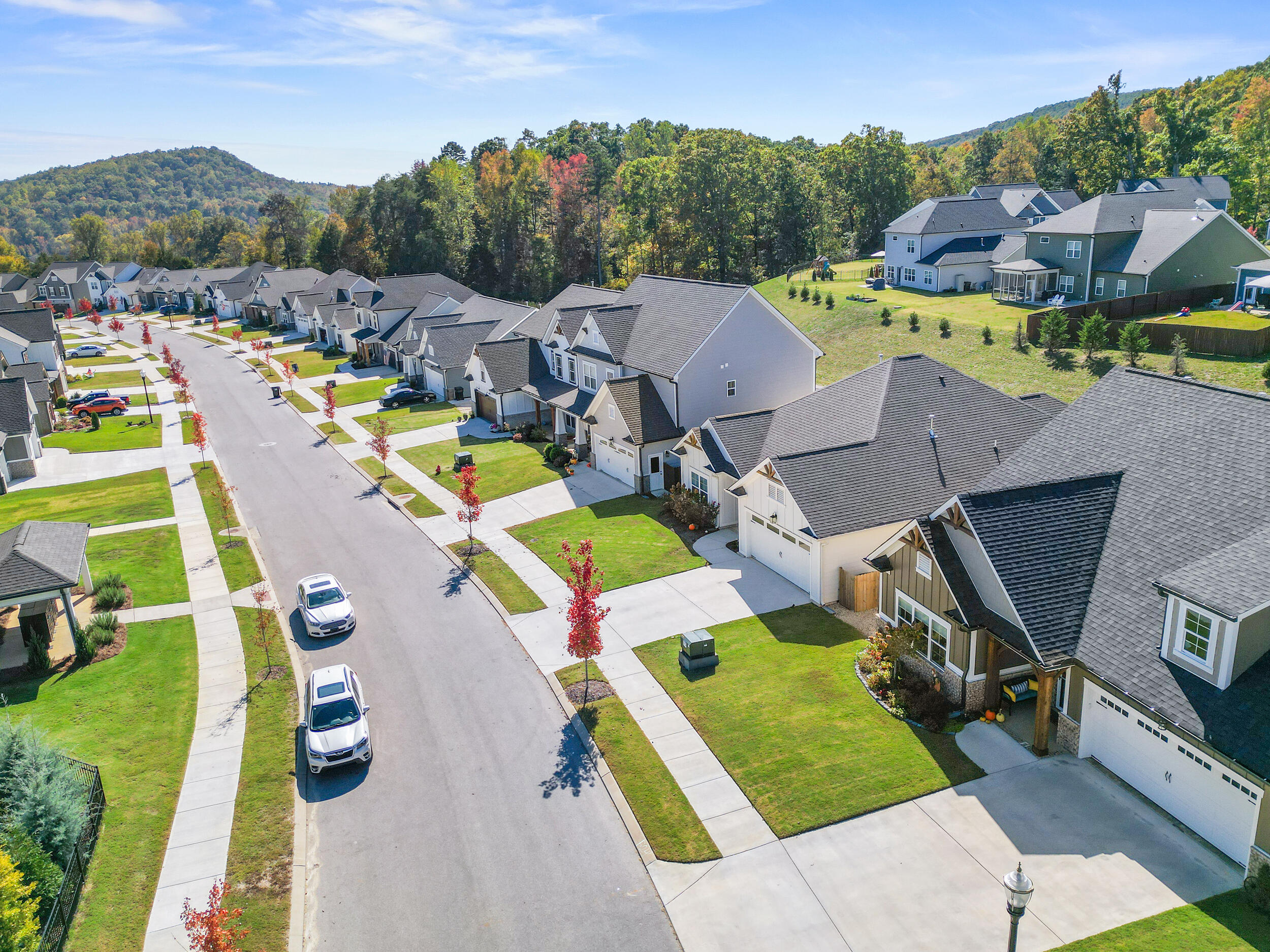 3650 Weathervane Loop Apison, TN 37302 - Photo 41 of 49 dji_0655