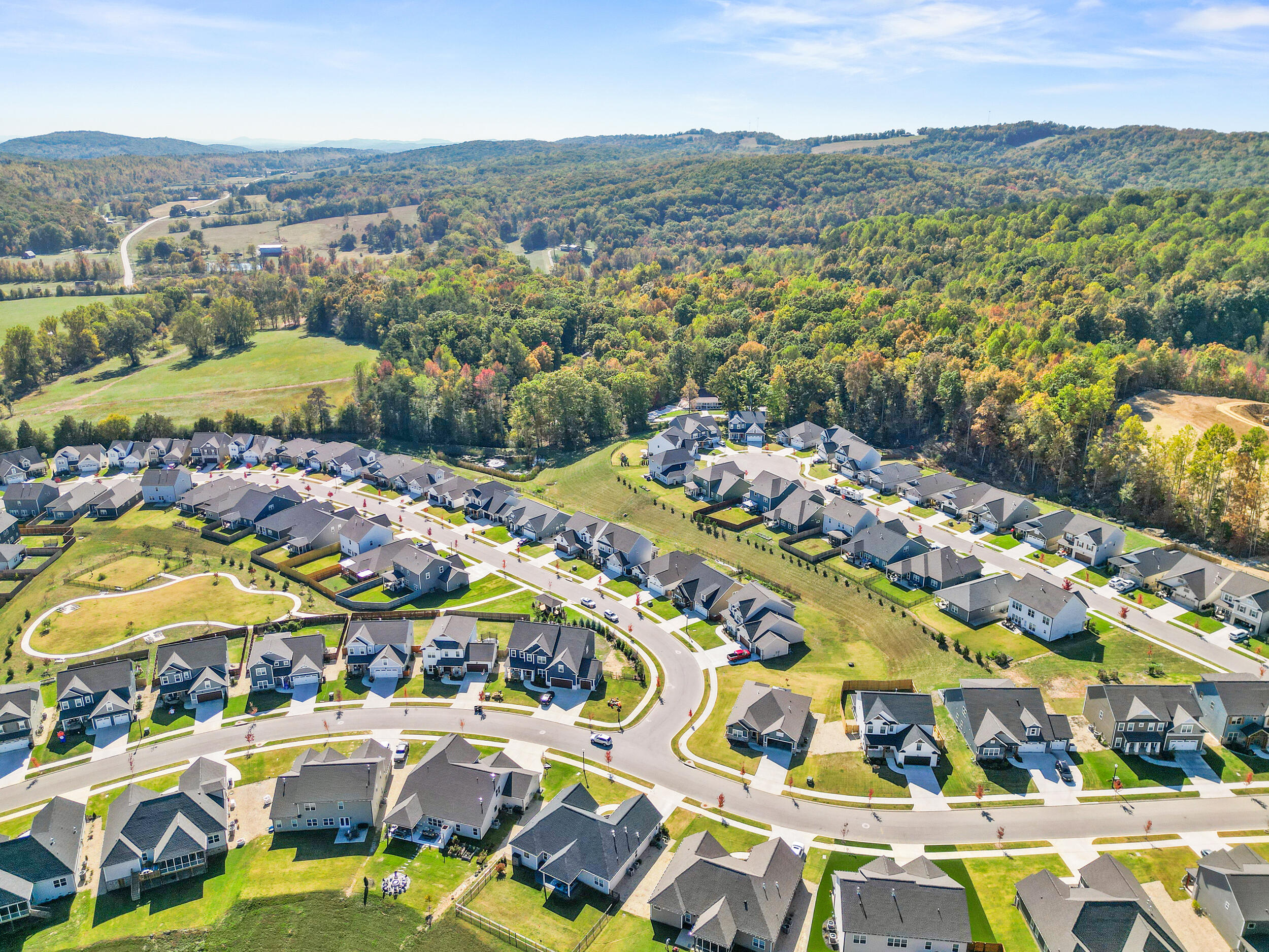 3650 Weathervane Loop Apison, TN 37302 - Photo 48 of 49 dji_0662