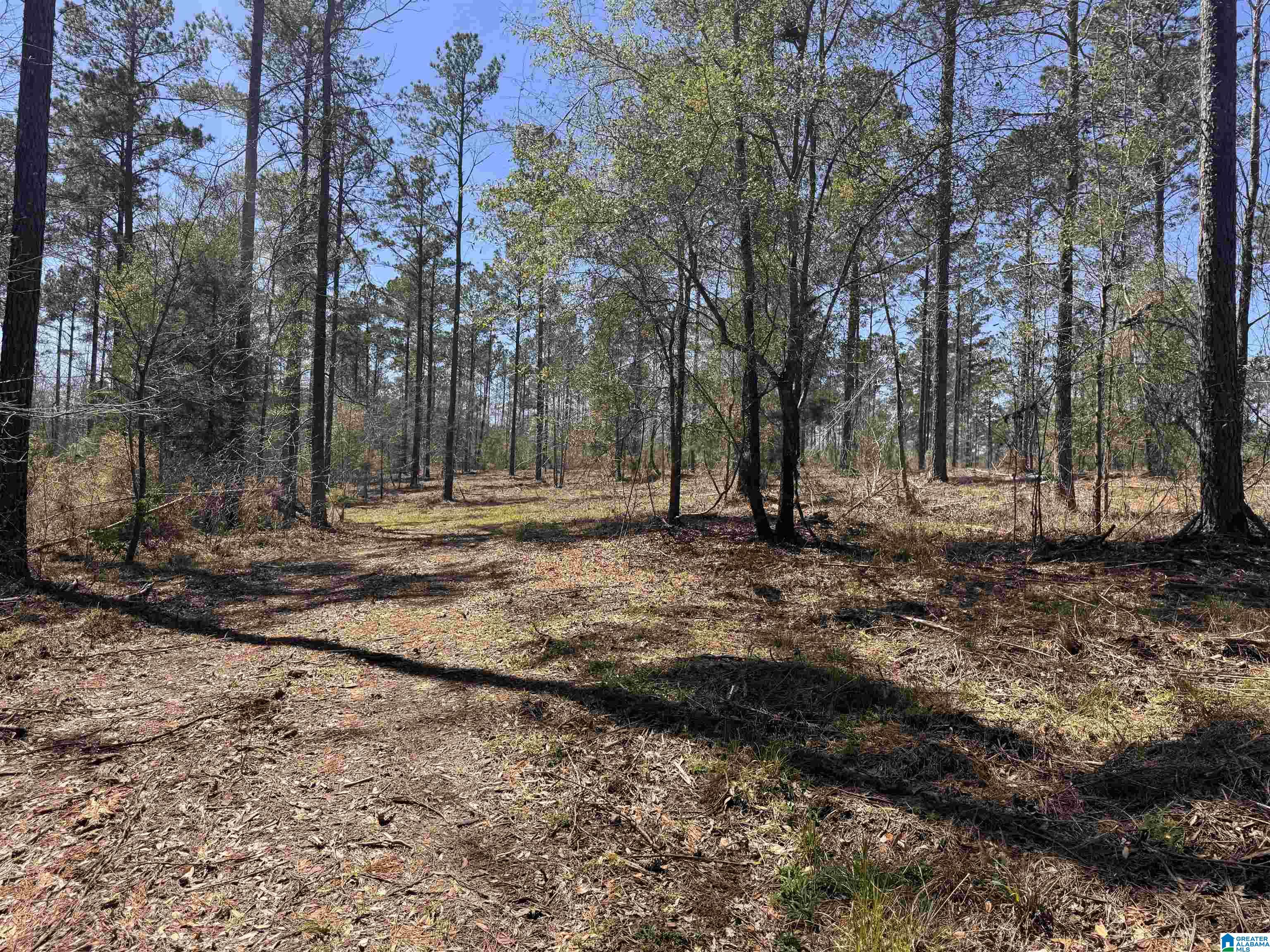0 Finnell Road Northport, AL 35475 - Photo 4 of 6