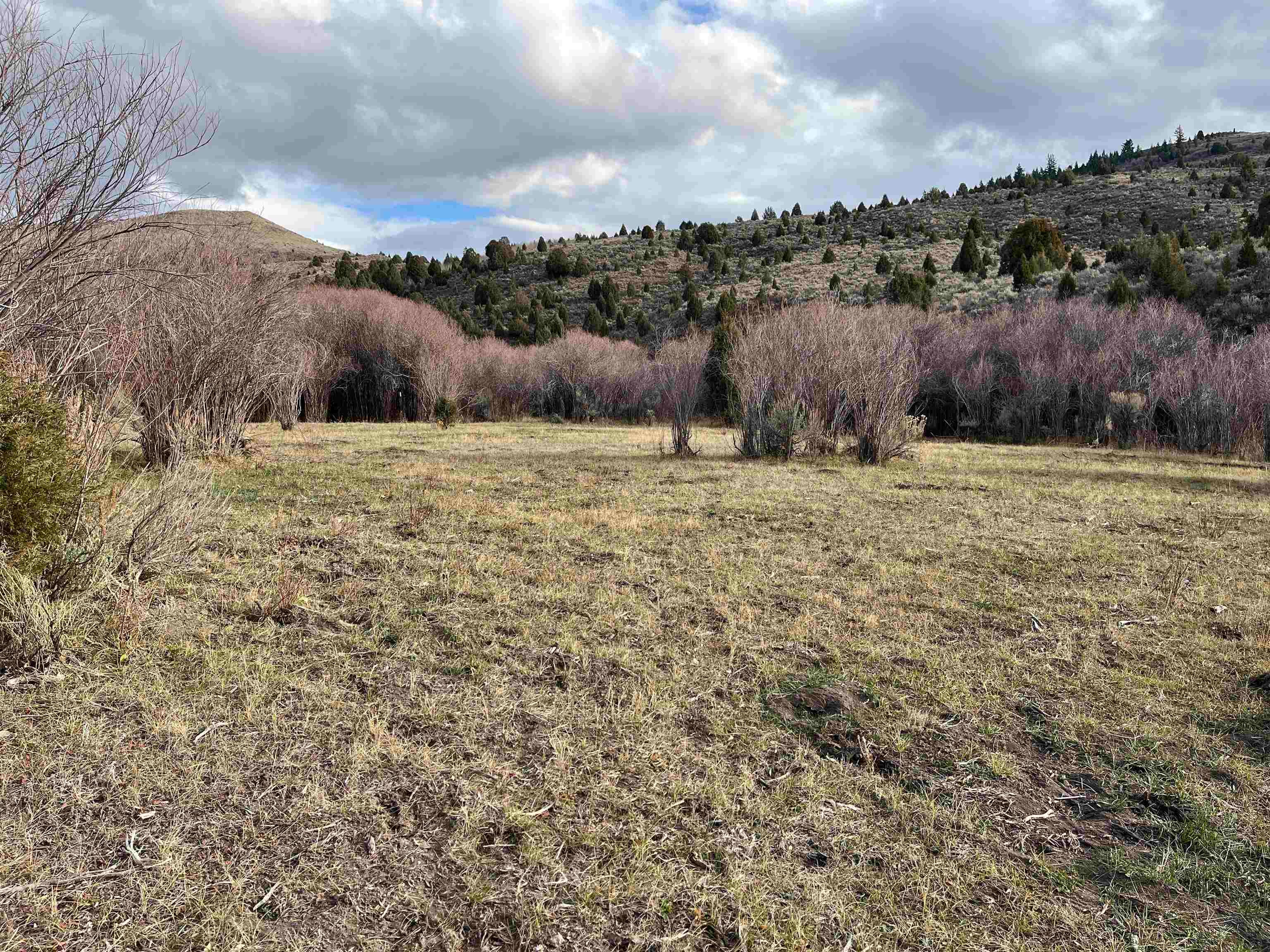 0 Dan Creek Road Firth, ID 83236 - Photo 23 of 50 Gallery Image 23