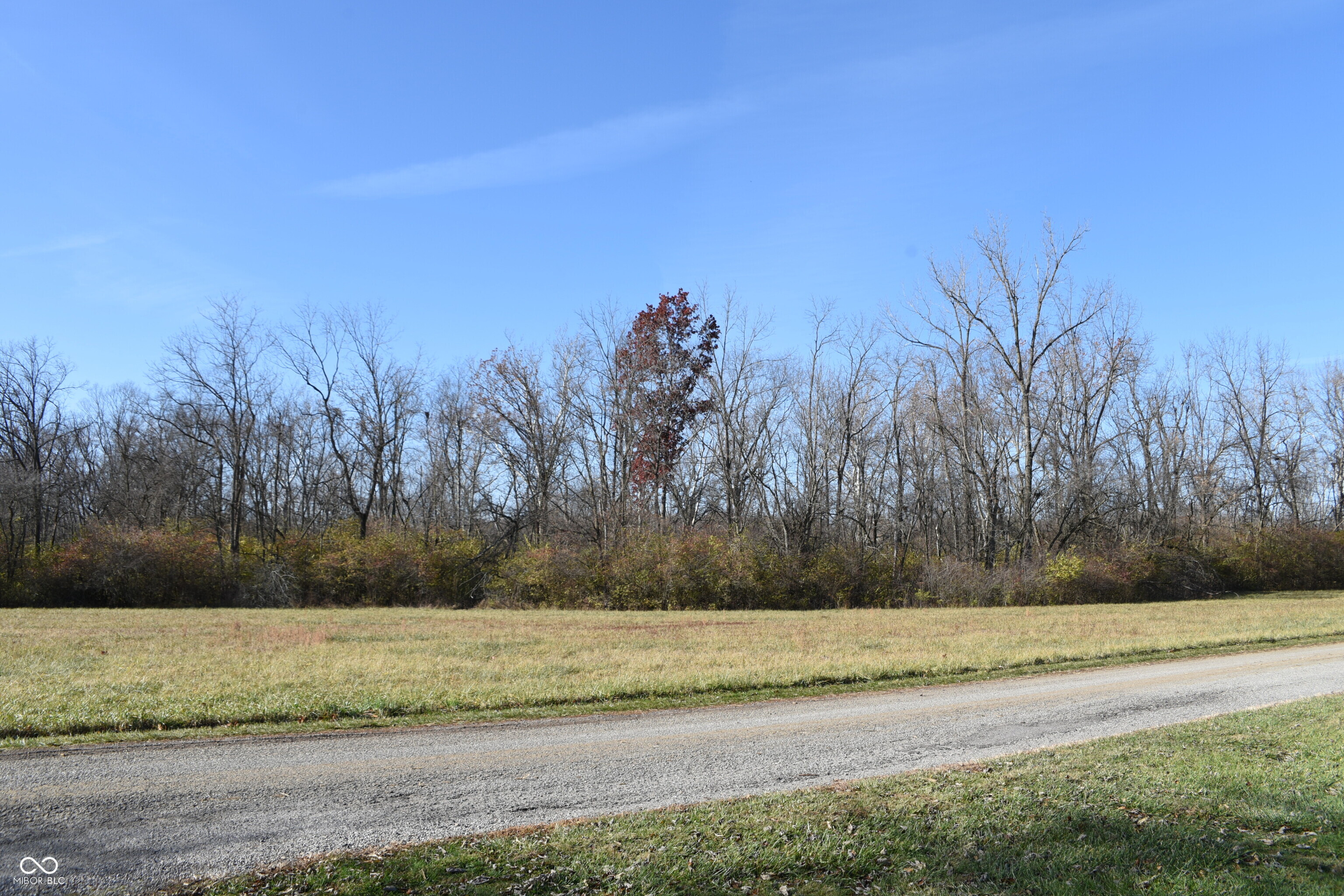 9850-adj North Reynard Road Albany, IN 47320 - Photo 4 of 8