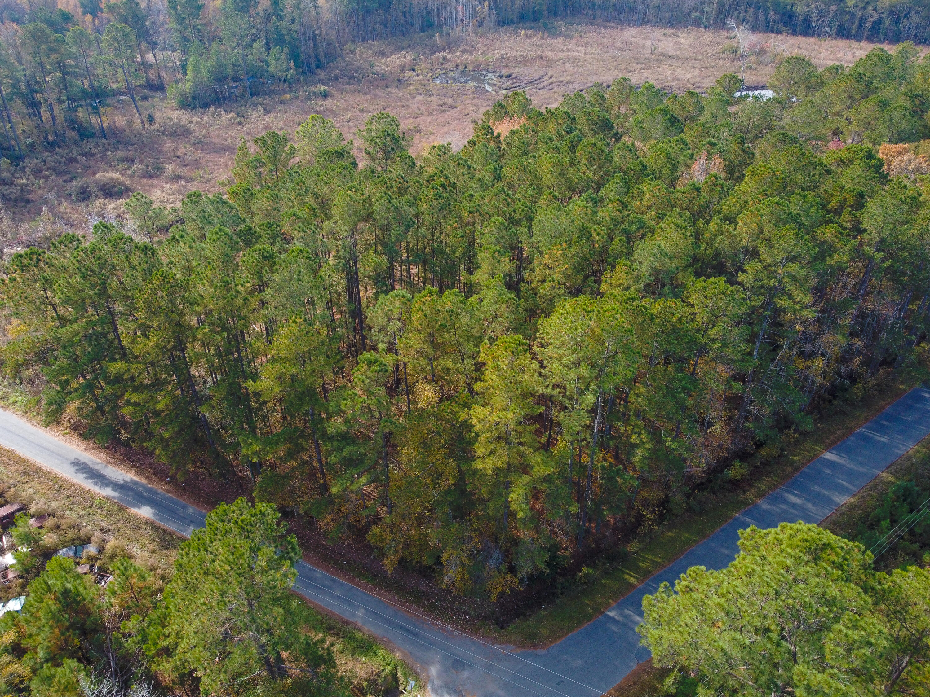 230 Red Hill Road Ridgeville, SC 29472 - Photo 2 of 13 Sanders RedHill (3)-HDR