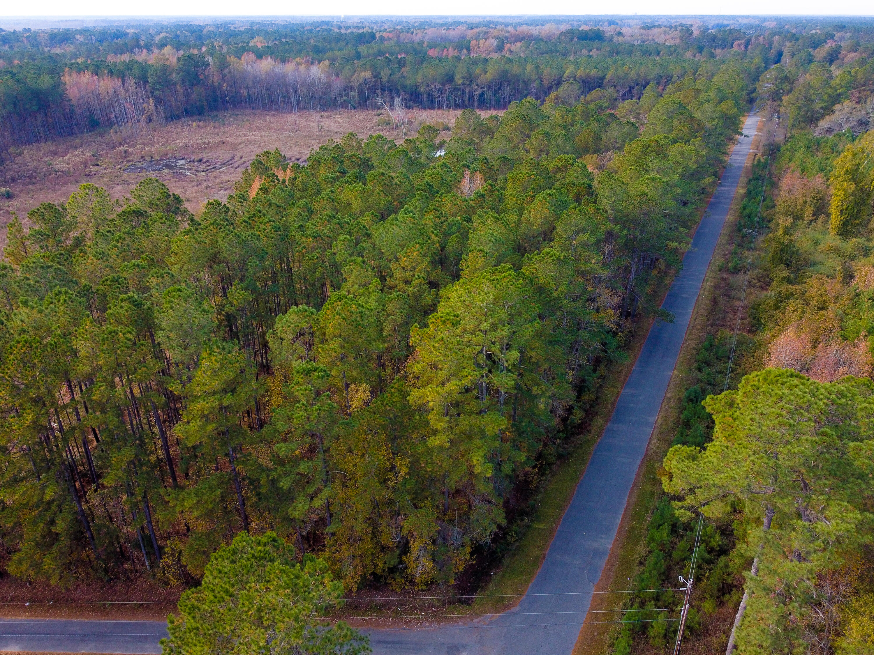 230 Red Hill Road Ridgeville, SC 29472 - Photo 11 of 13 Sanders RedHill (48)-HDR