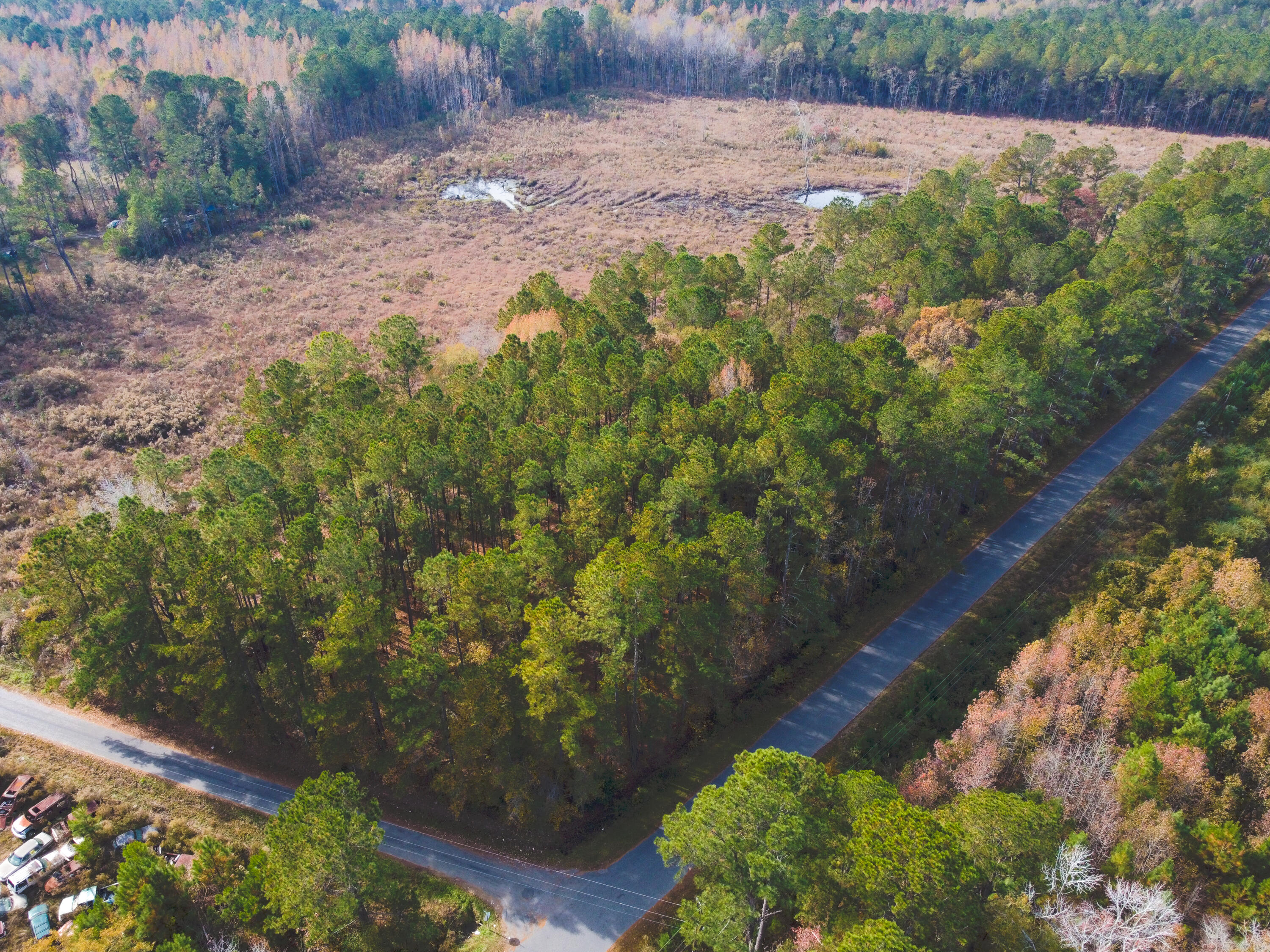 230 Red Hill Road Ridgeville, SC 29472 - Photo 3 of 13 Sanders RedHill (6)-HDR