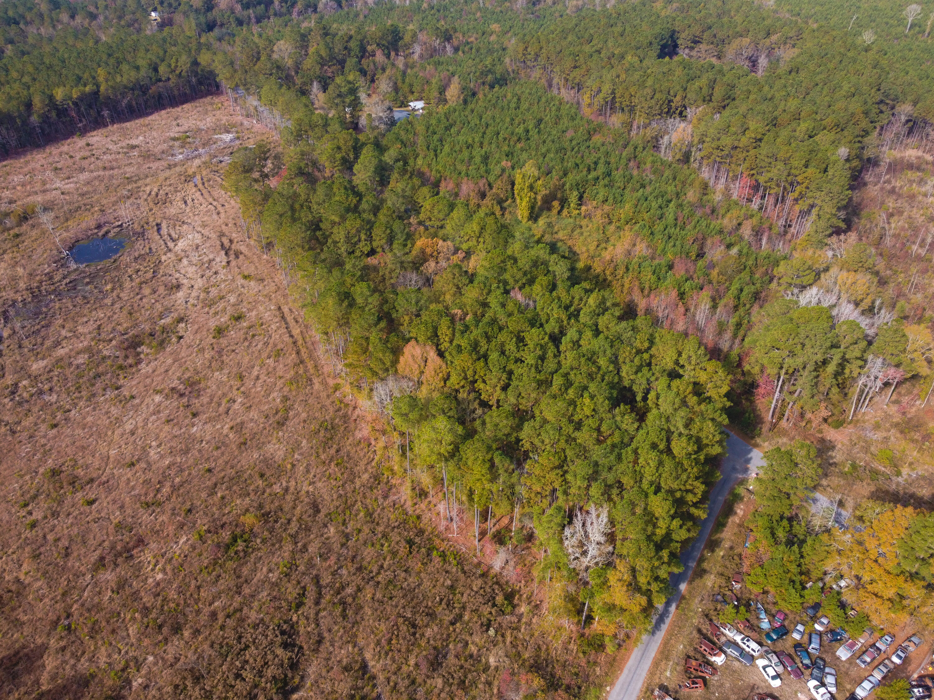 230 Red Hill Road Ridgeville, SC 29472 - Photo 4 of 13 Sanders RedHill (15)-HDR