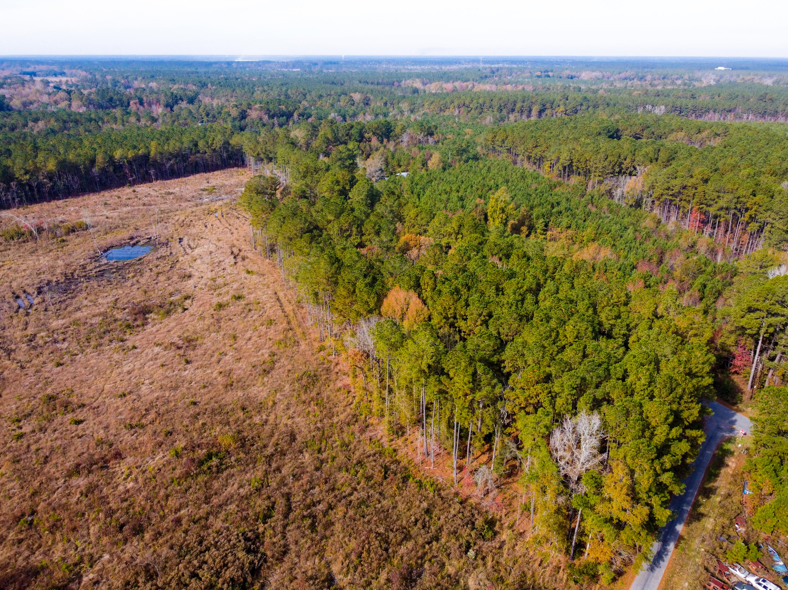 230 Red Hill Road Ridgeville, SC 29472 - Photo 5 of 13 Sanders RedHill (18)-HDR