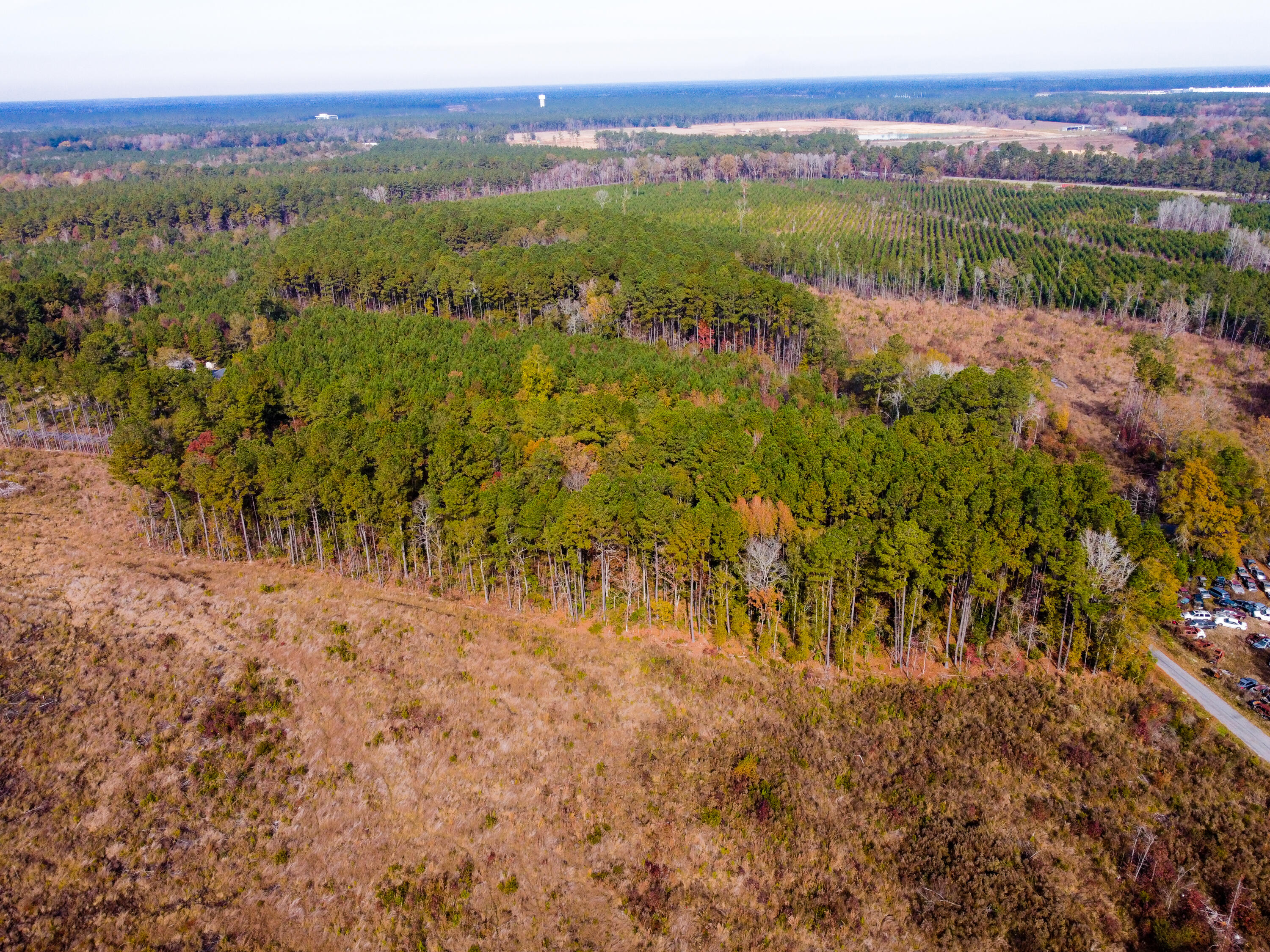 230 Red Hill Road Ridgeville, SC 29472 - Photo 6 of 13 Sanders RedHill (21)-HDR