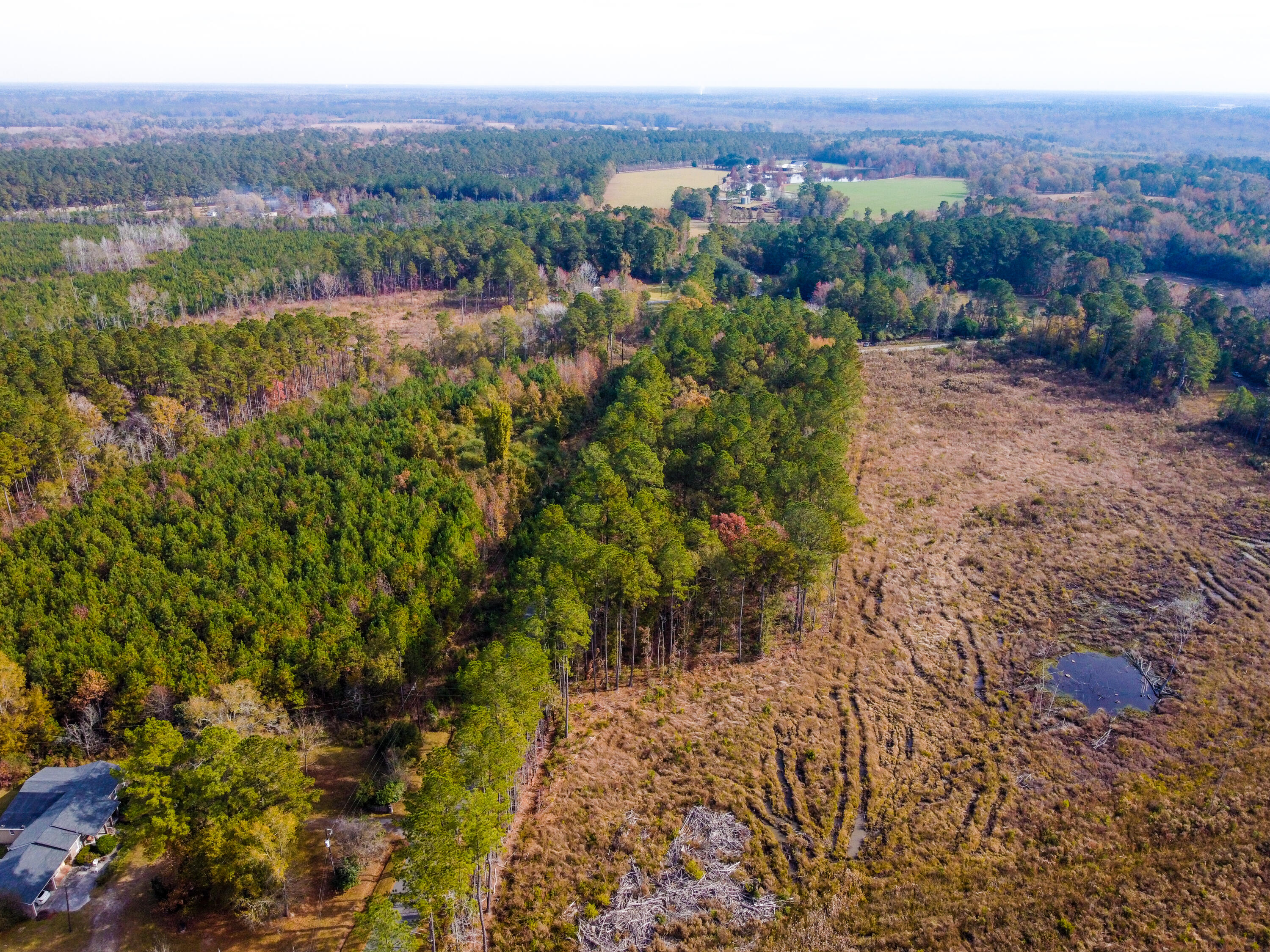 230 Red Hill Road Ridgeville, SC 29472 - Photo 8 of 13 Sanders RedHill (27)-HDR