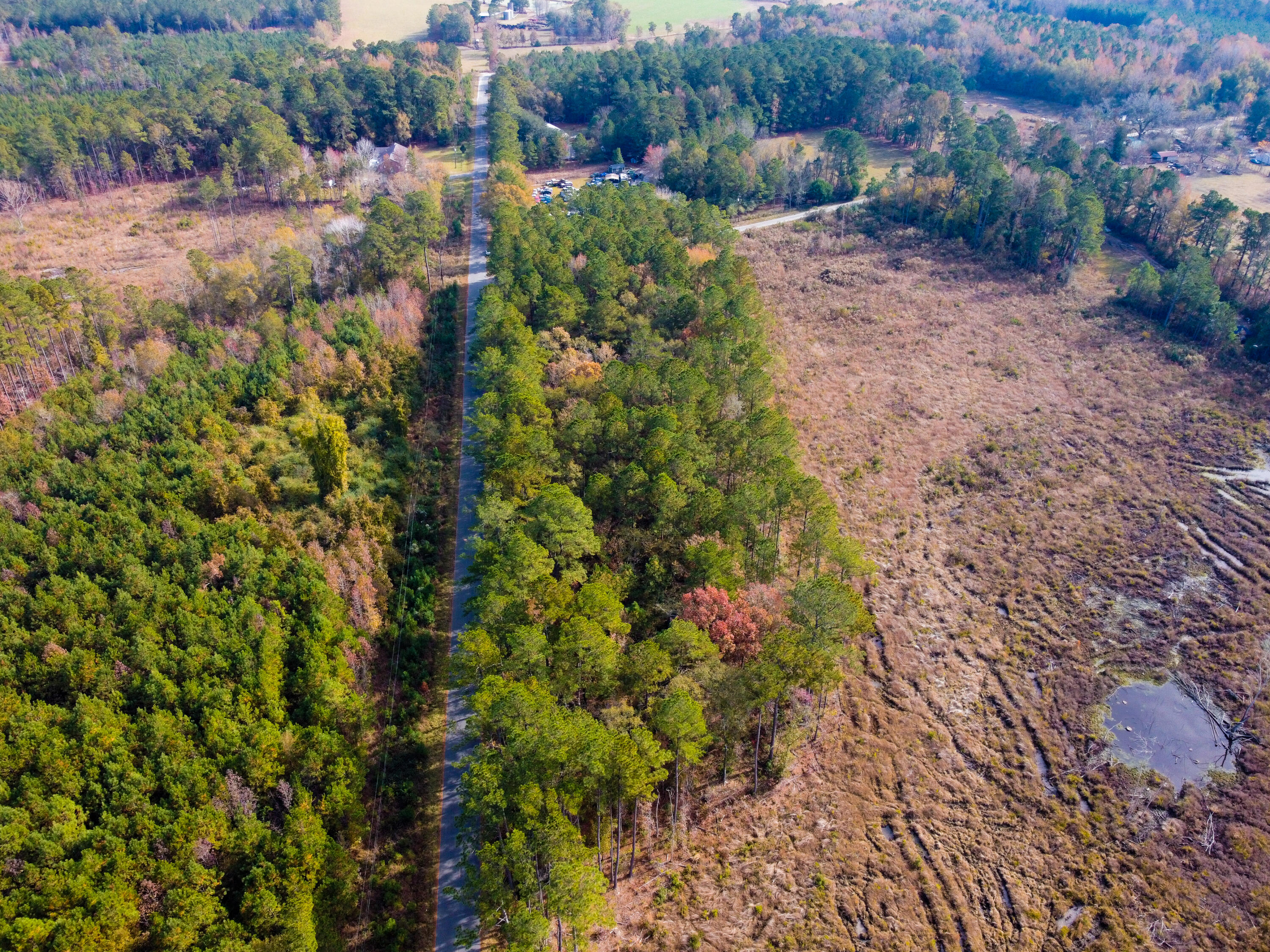 230 Red Hill Road Ridgeville, SC 29472 - Photo 10 of 13 Sanders RedHill (33)-HDR