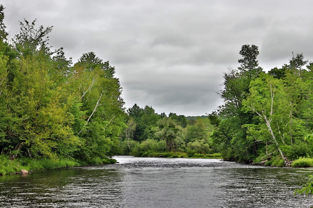 1624 Hardscrabble Road Saranac, NY 12981 - Photo 14 of 41 Gallery Image 14