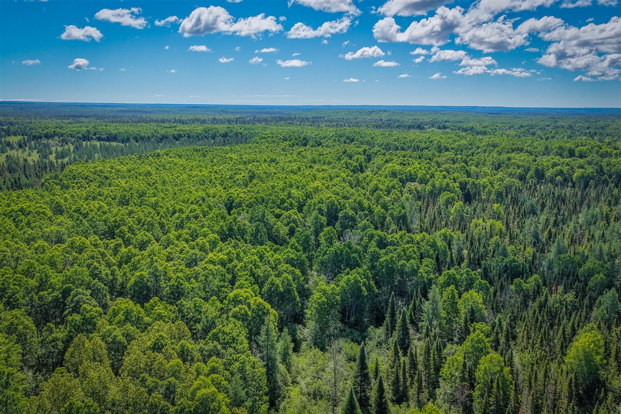South North Hulbert Road Eckerman, MI 49728 - Photo 17 of 29