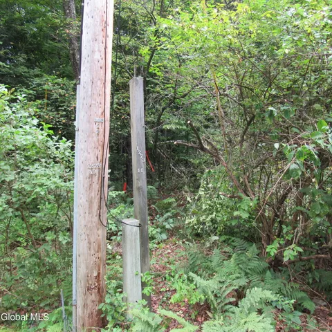 $40,000 | L11 Barker Road, Northville, NY 12134