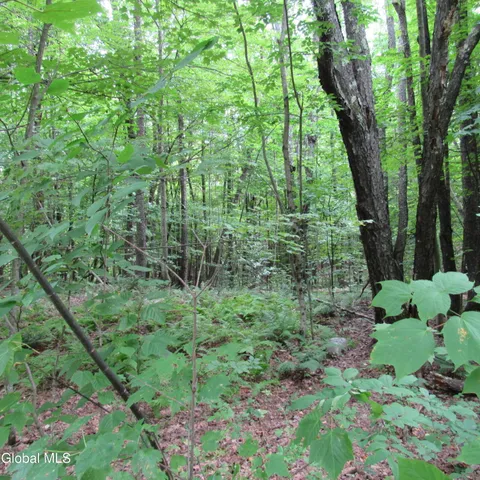 $40,000 | L11 Barker Road, Northville, NY 12134