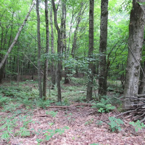 $40,000 | L11 Barker Road, Northville, NY 12134