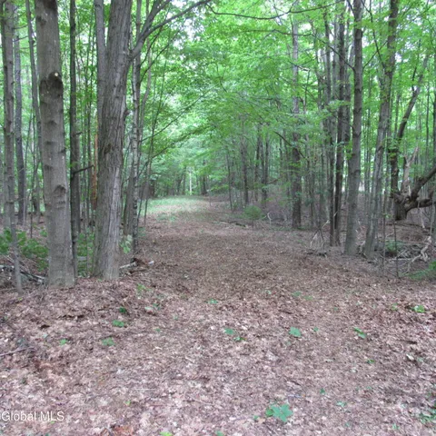 $40,000 | L11 Barker Road, Northville, NY 12134