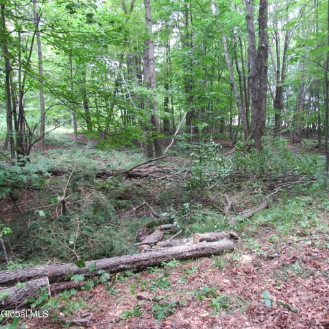 $40,000 | L11 Barker Road, Northville, NY 12134