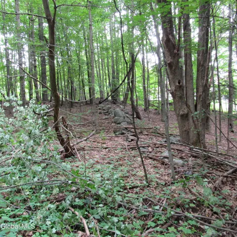 $40,000 | L11 Barker Road, Northville, NY 12134