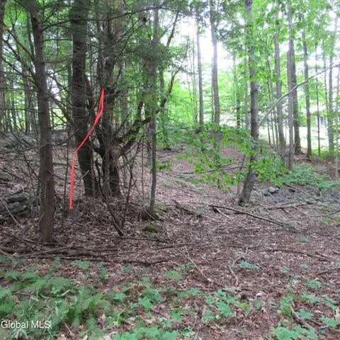 $40,000 | L11 Barker Road, Northville, NY 12134