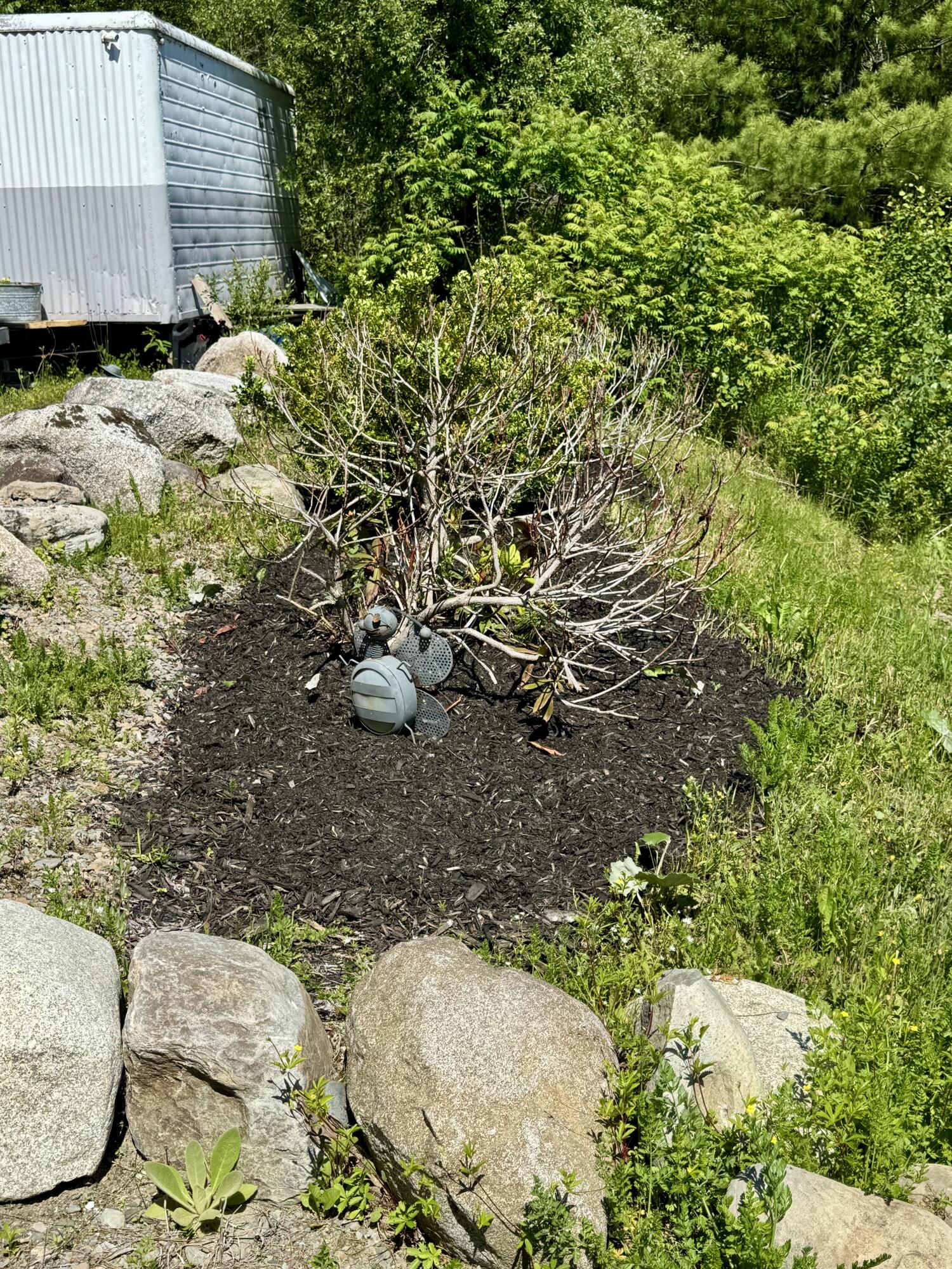 112 River Road Detroit, ME 04929 - Photo 35 of 41 Well Landcsaped