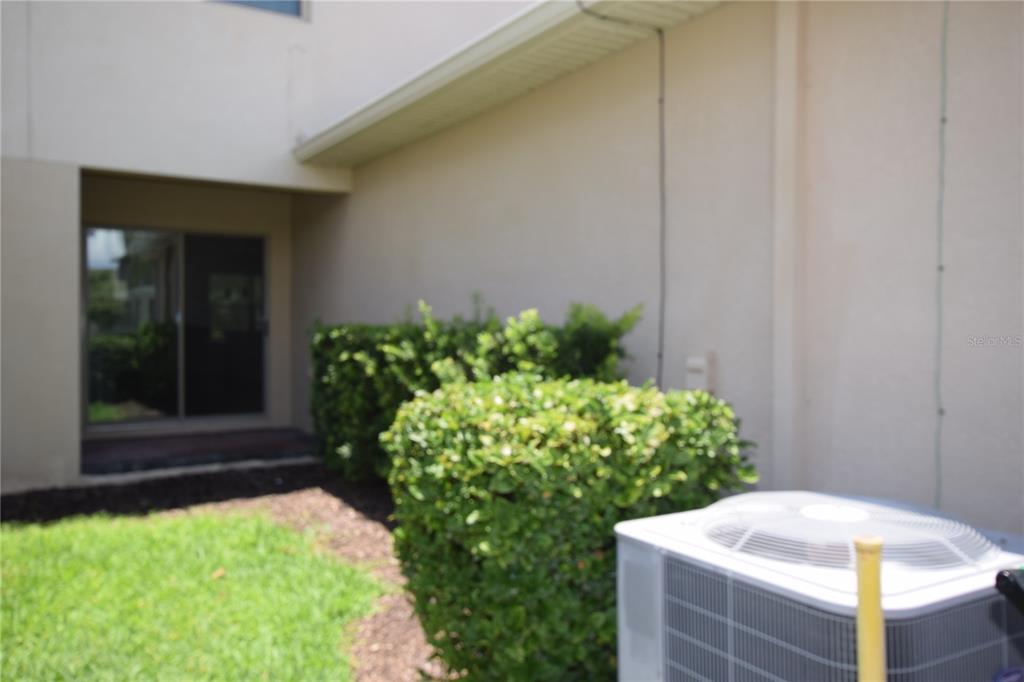 16097 Pebble Bluff Loop Winter Garden, FL 34787 - Photo 5 of 32