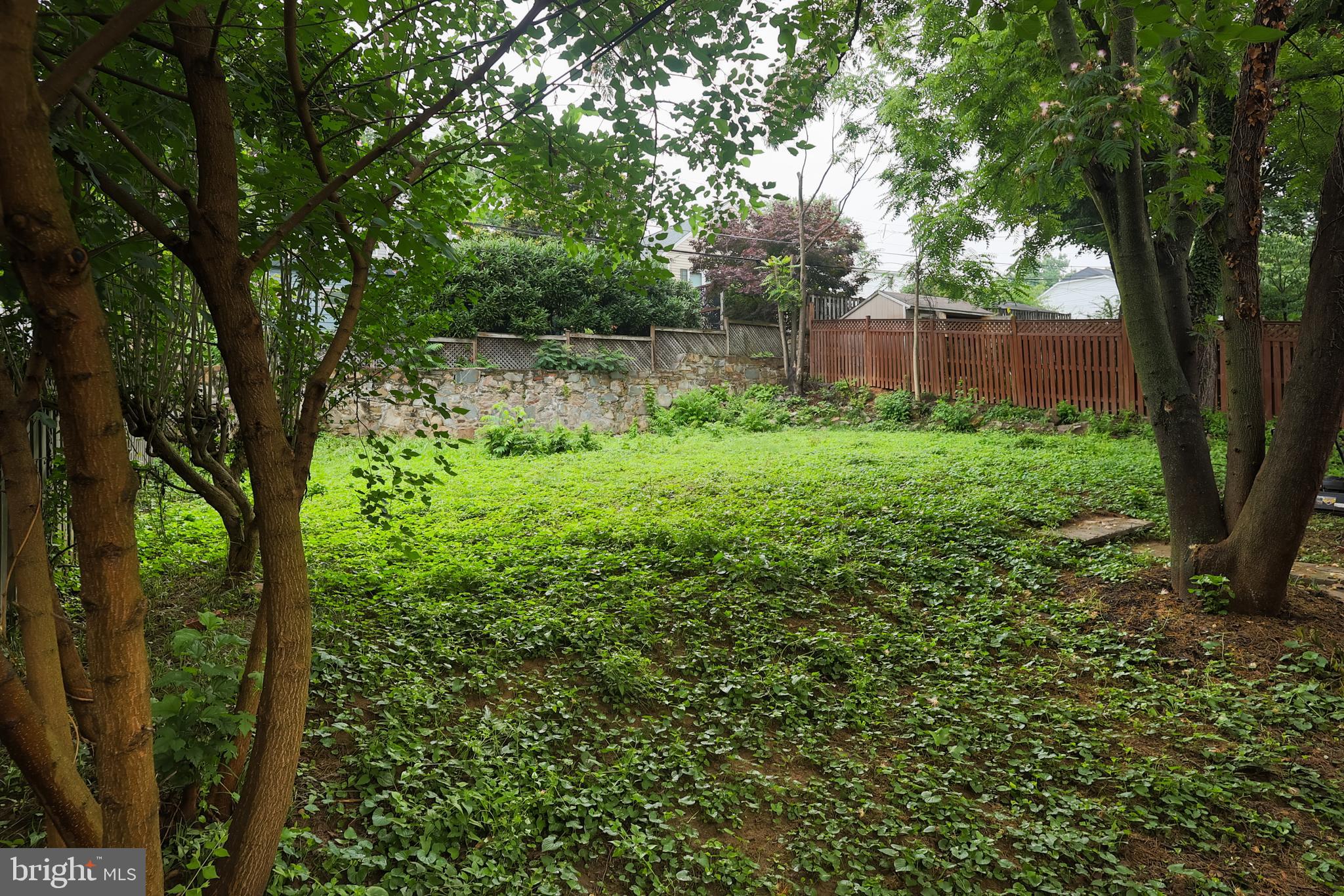 4827 16th Road North Arlington, VA 22207 - Photo 5 of 9