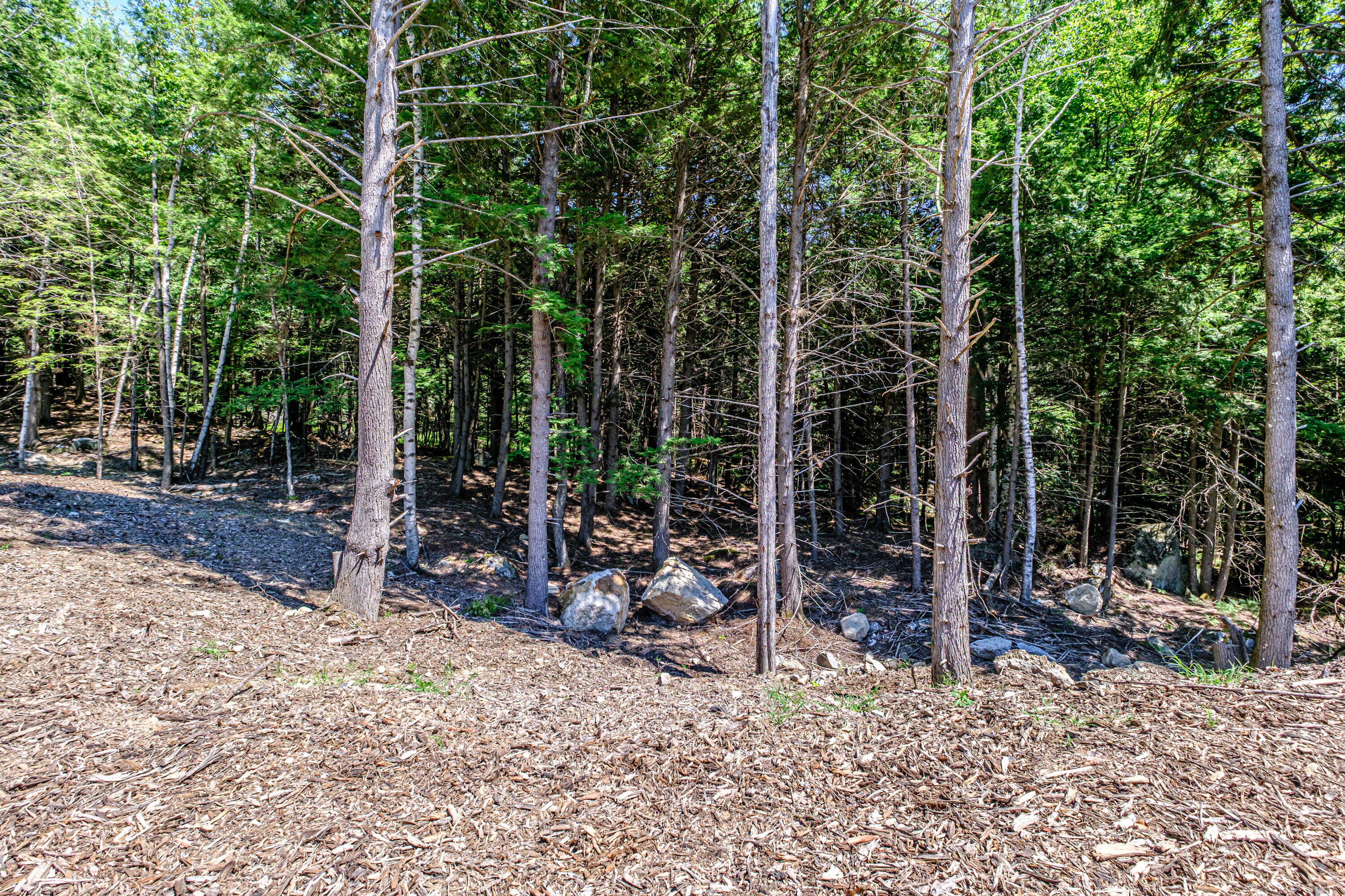 830 Paris Road Hebron, ME 04238 - Photo 47 of 51 20260806gp-62054