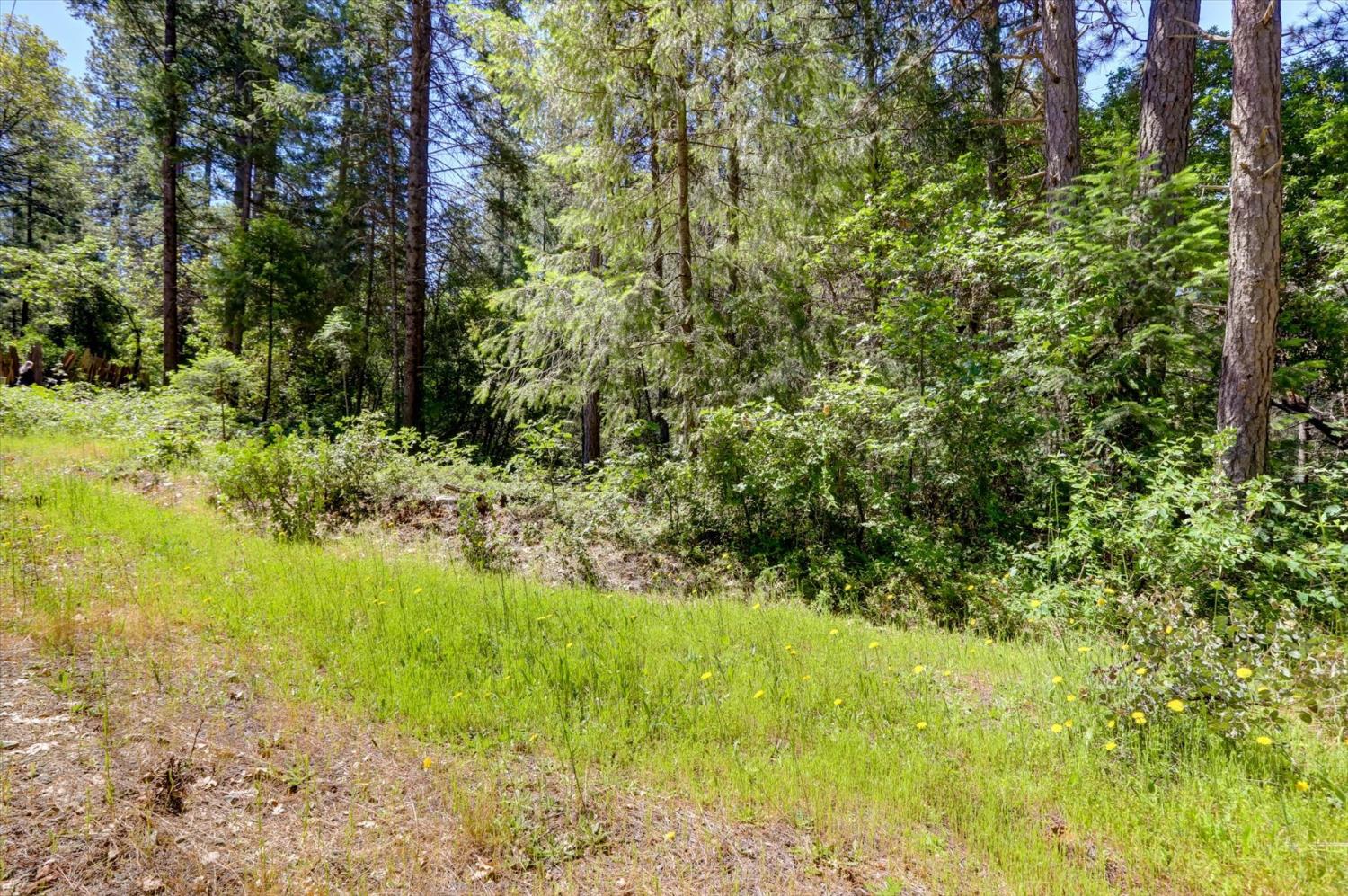 17390 Skyland Road Nevada City, CA 95959 - Photo 6 of 17