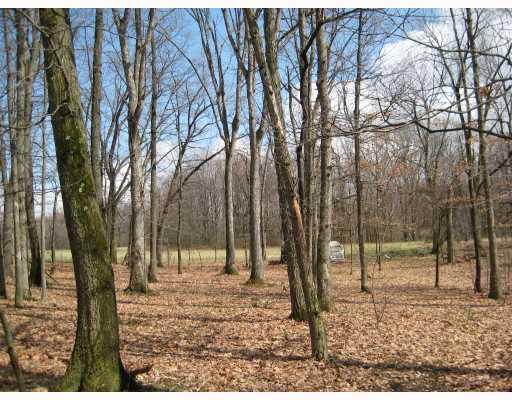 188 Waltz Mill Road Ruffs Dale, PA 15679 - Photo 7 of 7 Land.
